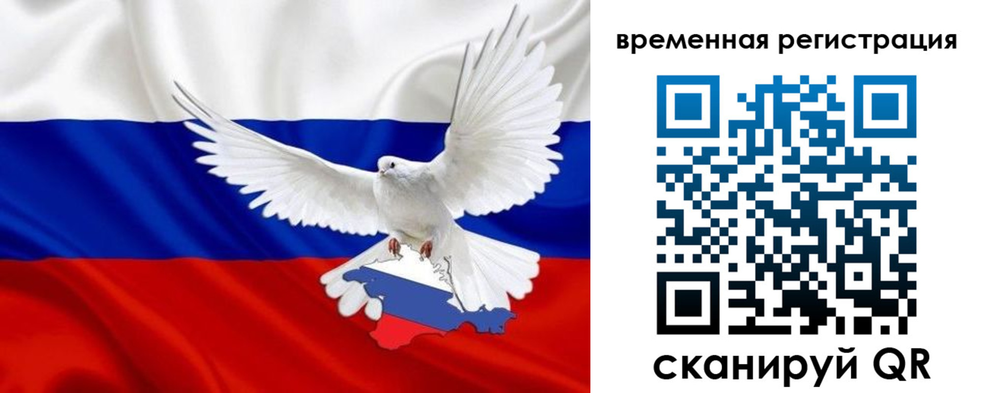 прописка законно в Ермолино