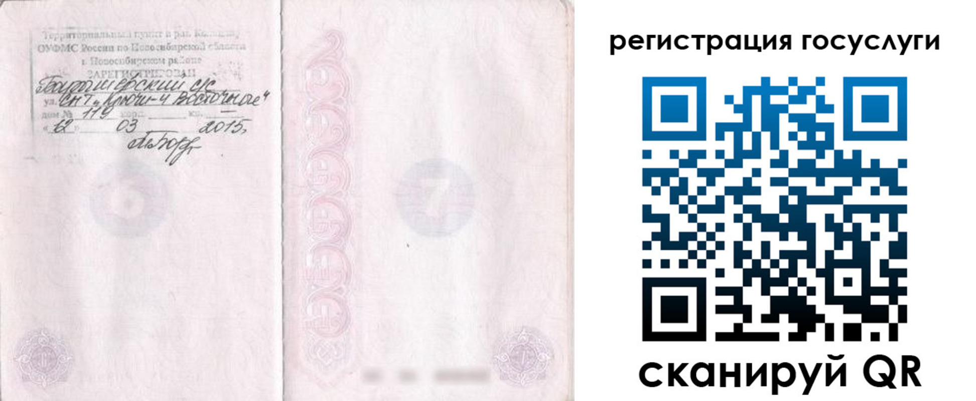 прописка для школы в Ермолино